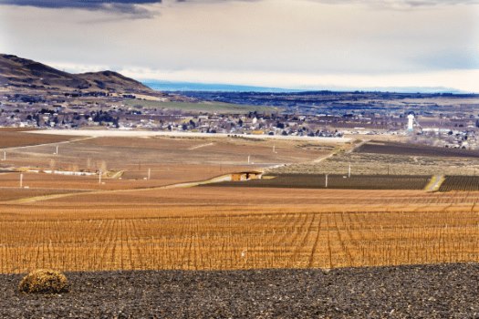 homes for sale in benton city wa