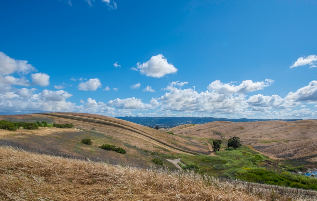 A beautiful modern home overlooking the sunny, rolling hills characteristic of the Tri-Cities, Washington area, representing a successful home purchase.